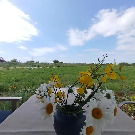 Hébergement de vacances Do Nothing Land